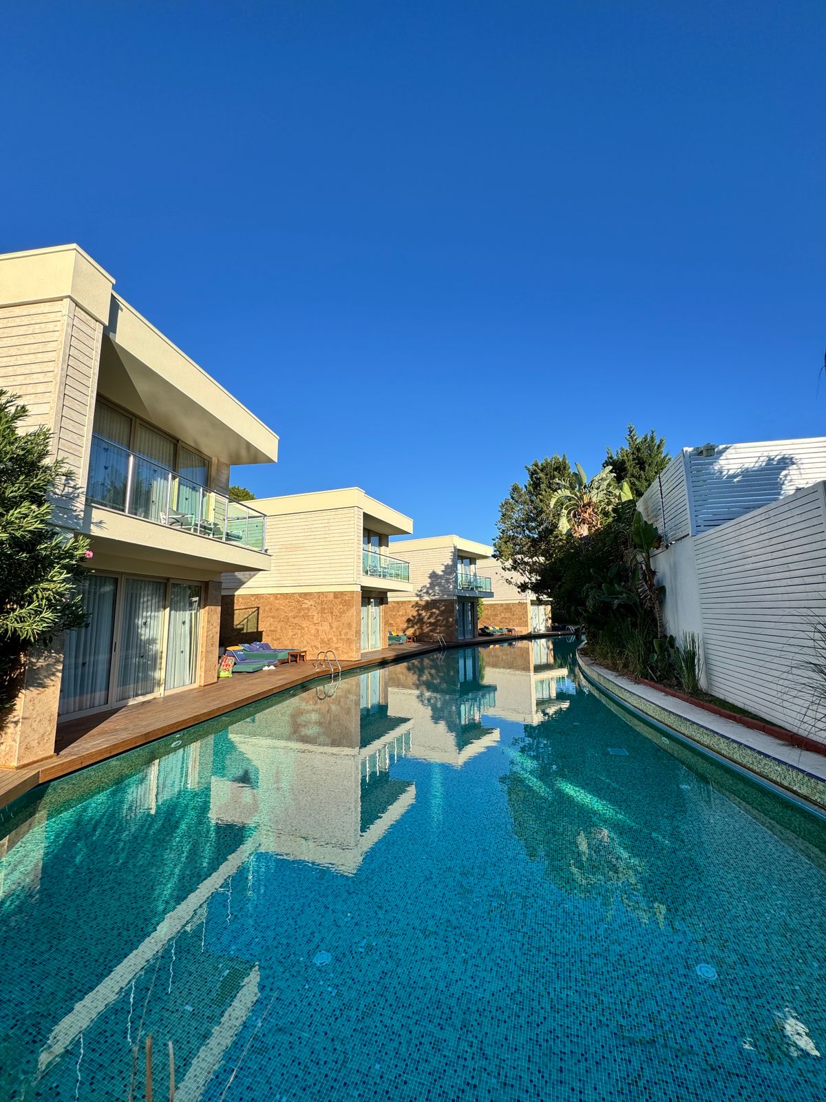 Contemporary garden residence